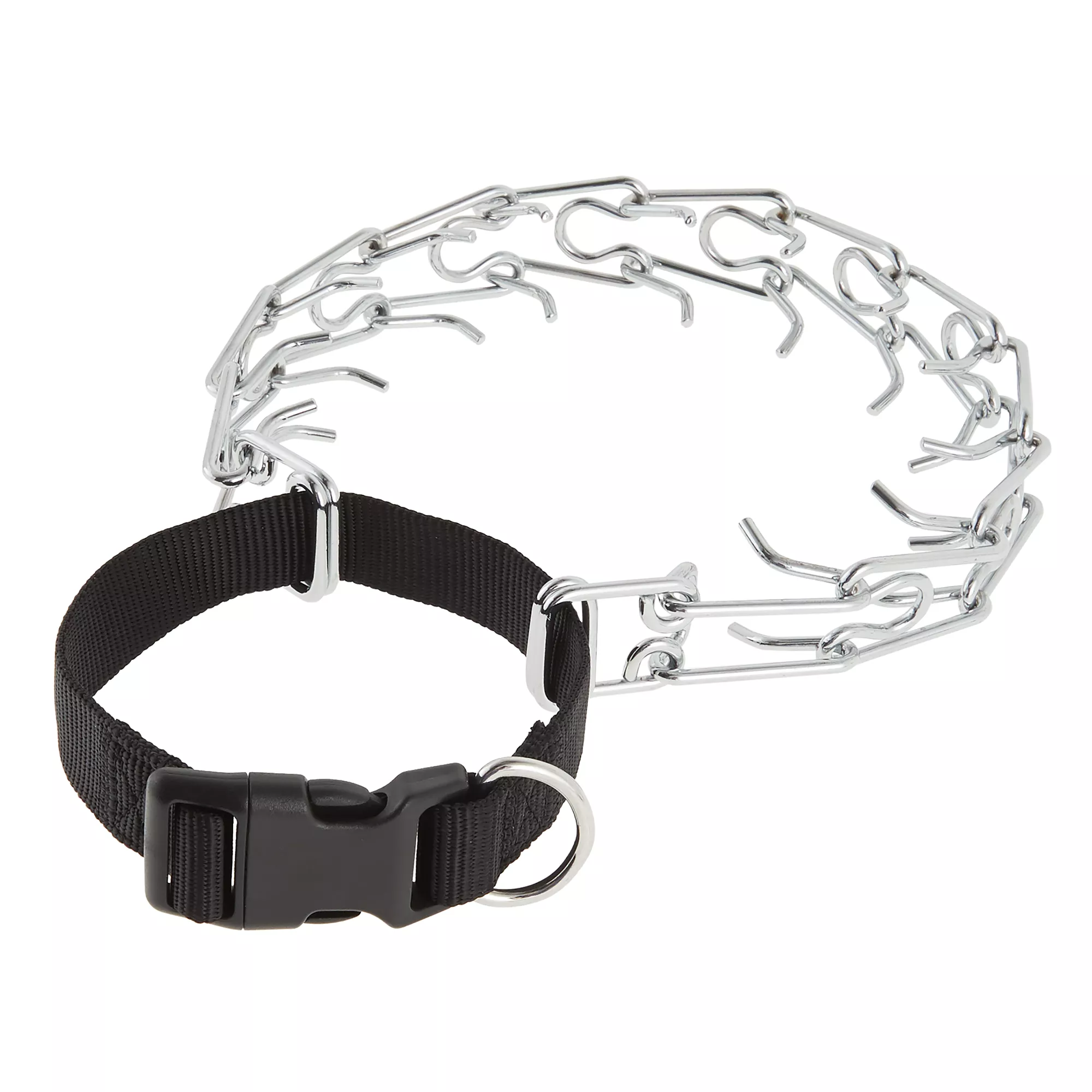 Top Paw® Buckle Prong Training Dog Collar