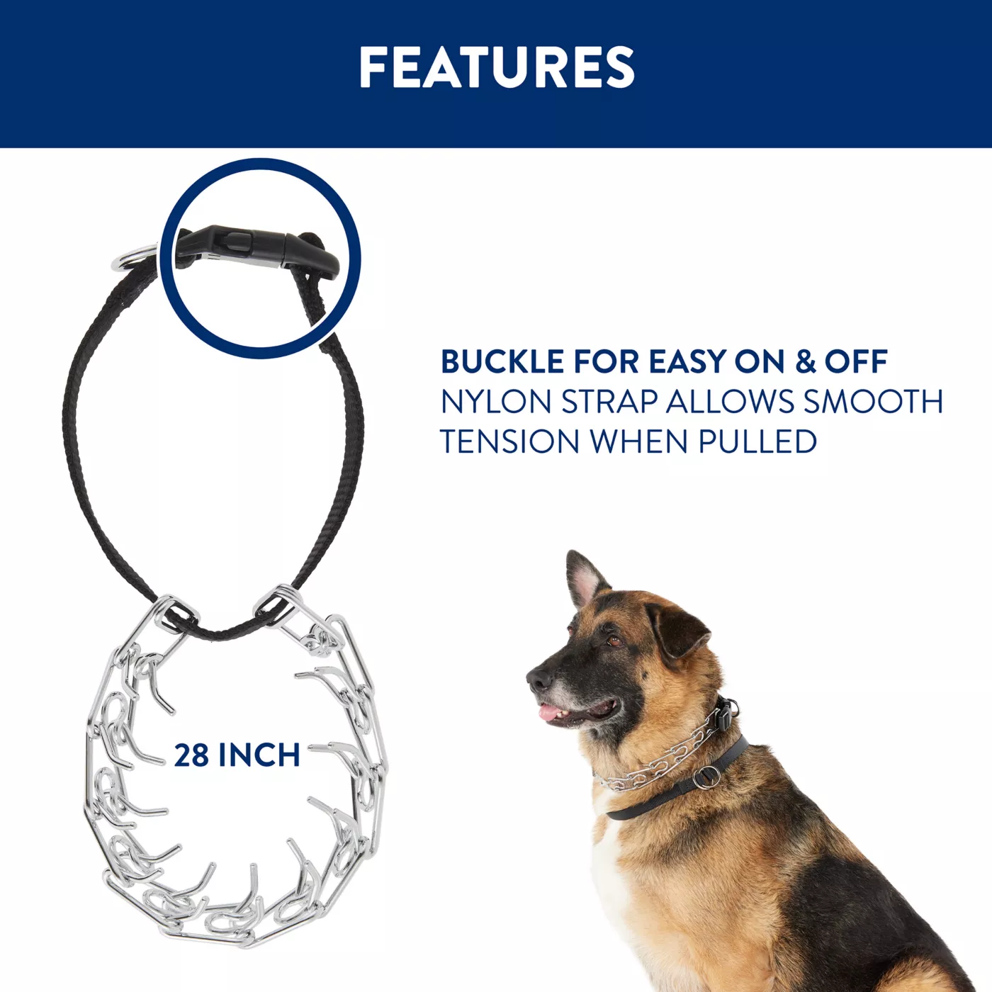 Top Paw Buckle Prong Training Dog Collar