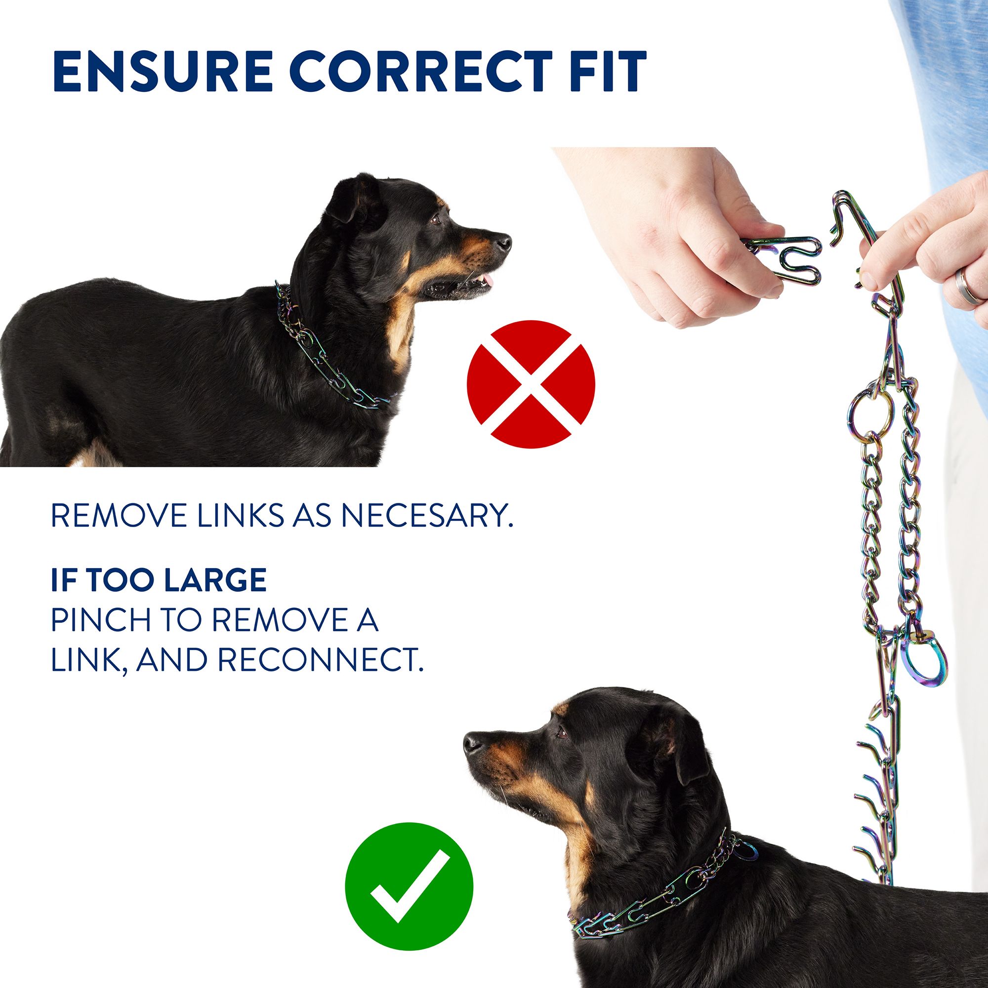 Top Paw Quick Release Prong Training Dog Collar PetSmart in Tustin CA