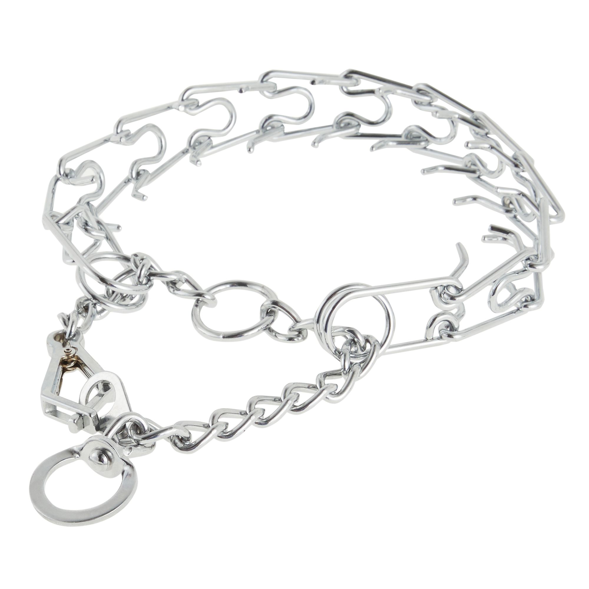 Dog chain 2024 leash petsmart