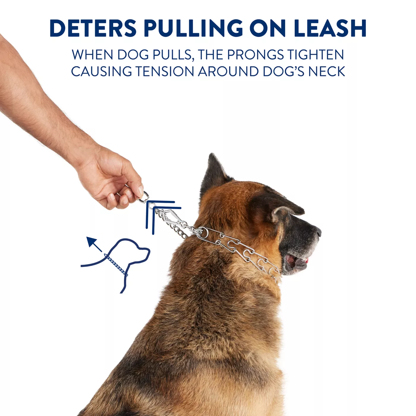 Best pinch collar for large dogs best sale