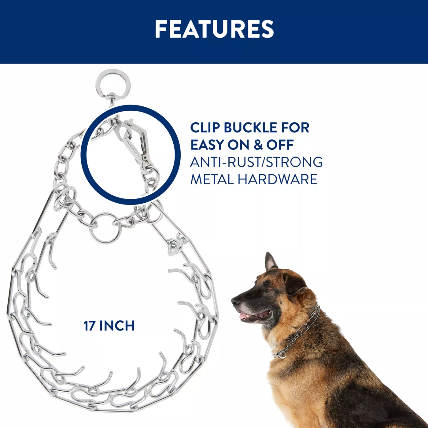 How to train with a prong collar best sale