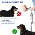 Top Paw® Prong Dog Collar, Training Dog Collar, Quick Release, Silver, Multiple Sizes image thumbnail 7