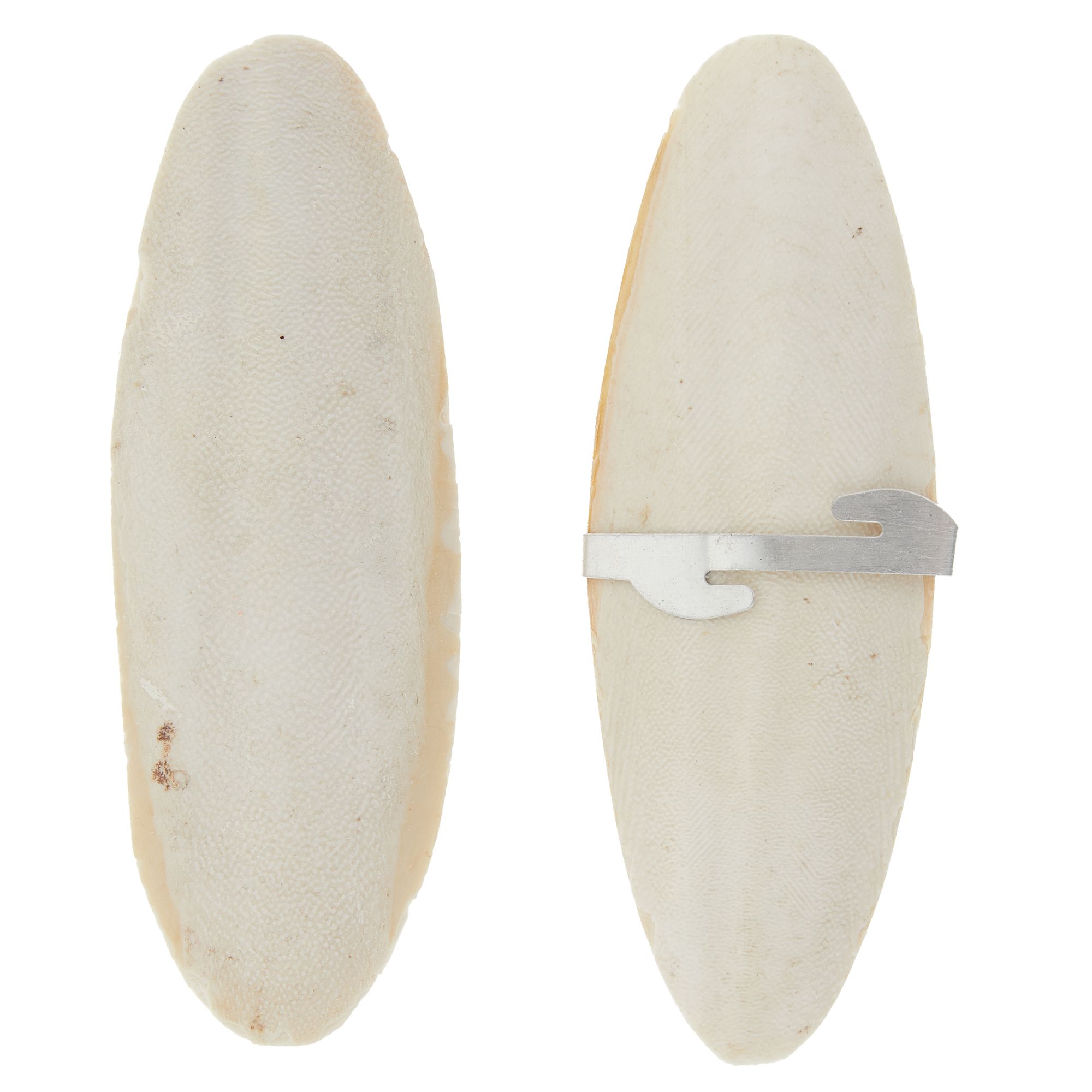 Featherland Paradise Cuttlebones 2 Pack Bird Nail Beak Trimmers Petsmart