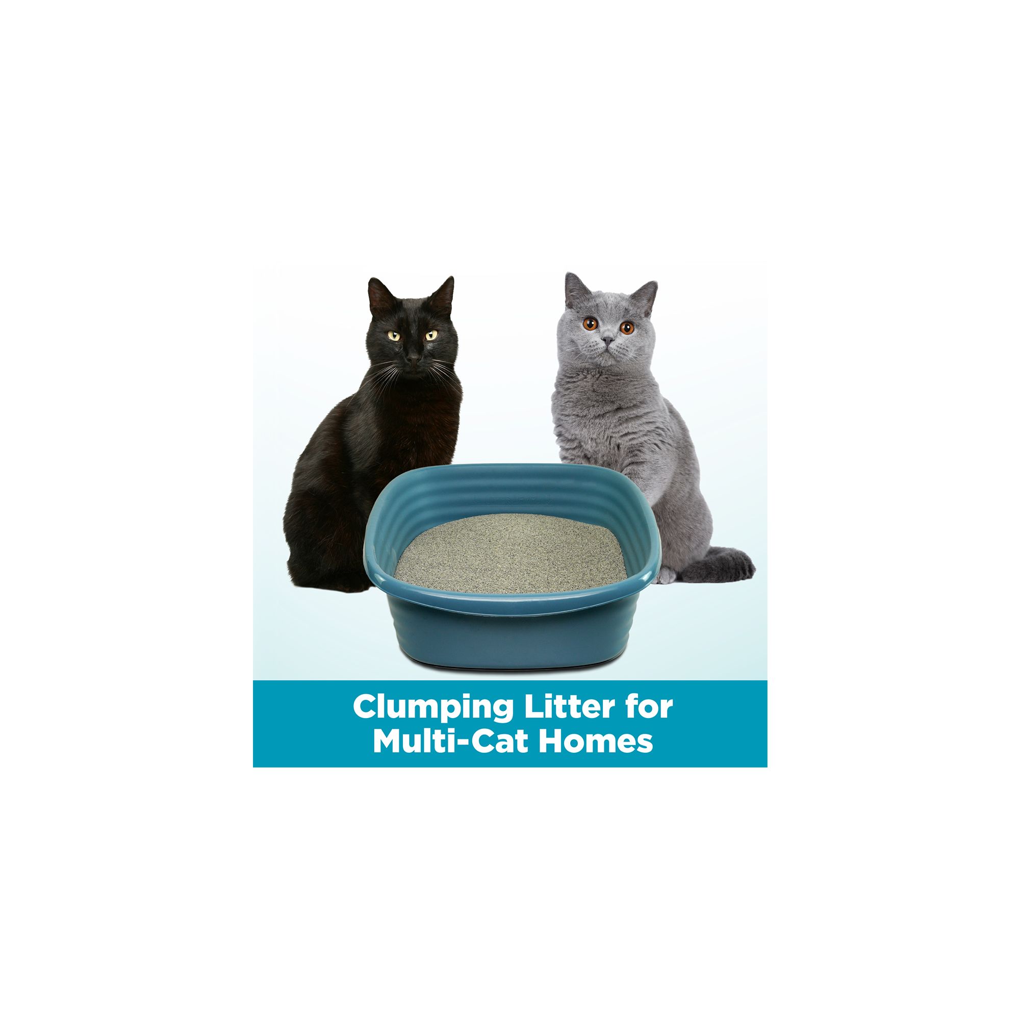 Arm Hammer Clump Seal Cloud Control Clumping Multi Cat Clay Cat Litter Scented PetSmart in Tustin CA