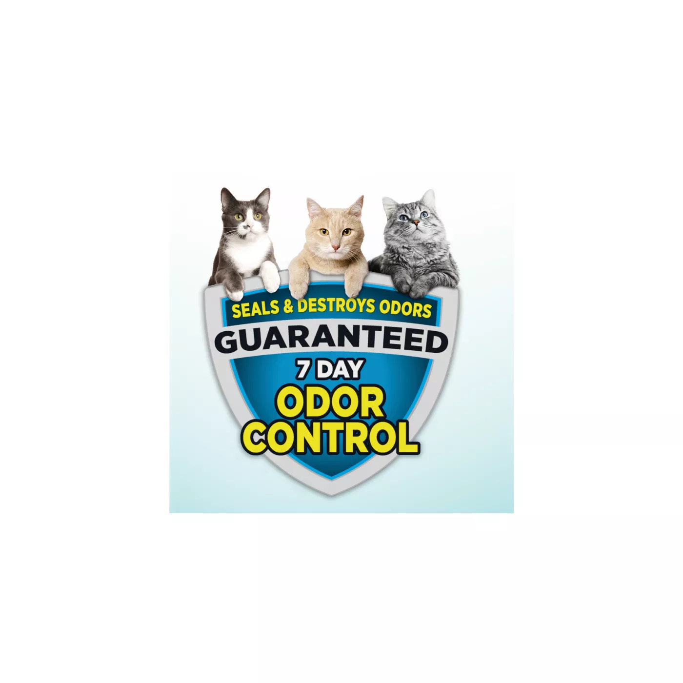 Arm Hammer Clump Seal Cloud Control Clumping Multi Cat Clay Cat Litter Scented Low Dus