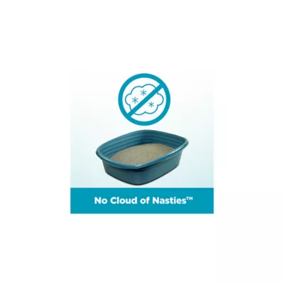 Product Arm & Hammer™ Clump & Seal Cloud Control Clumping Multi-Cat Clay Cat Litter - Scented, Low Dus