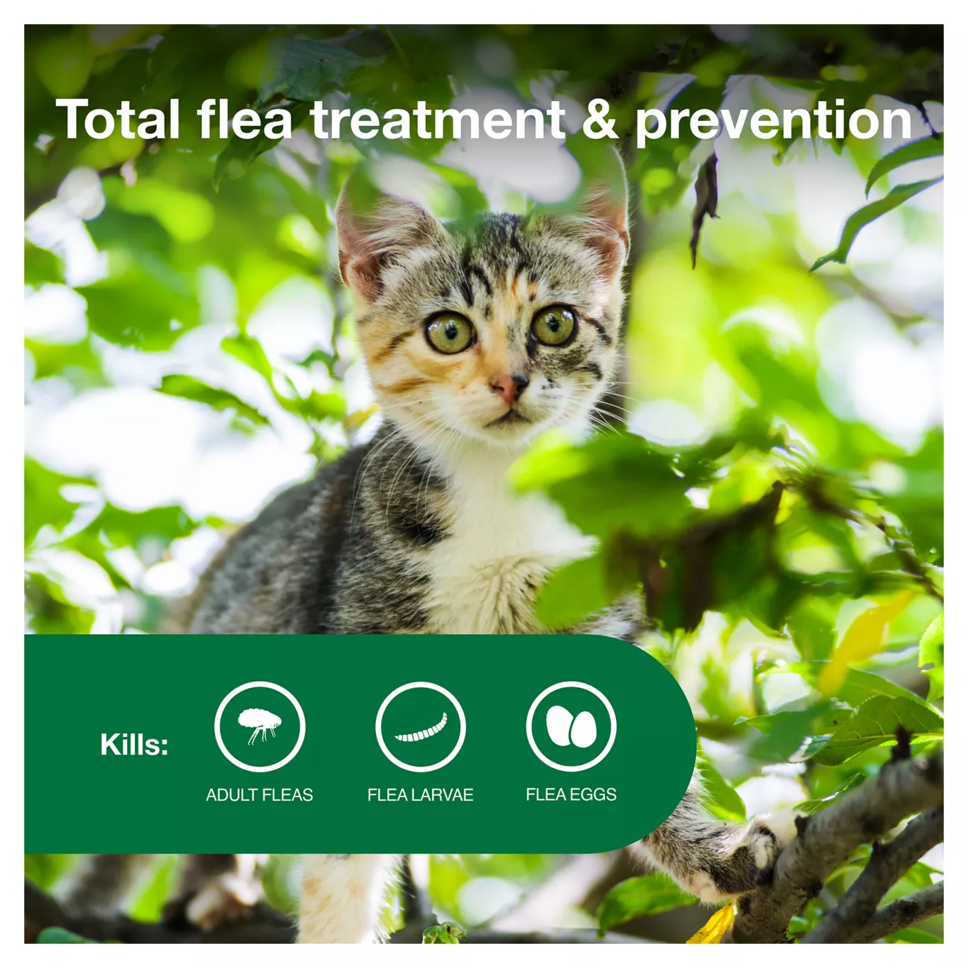 Advantage II 2 5 lbs Kitten Flea Prevention Treatment