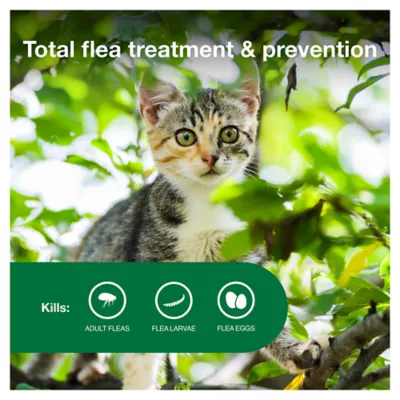 Advantage II Flea Treatment for Kitten 2 Dose