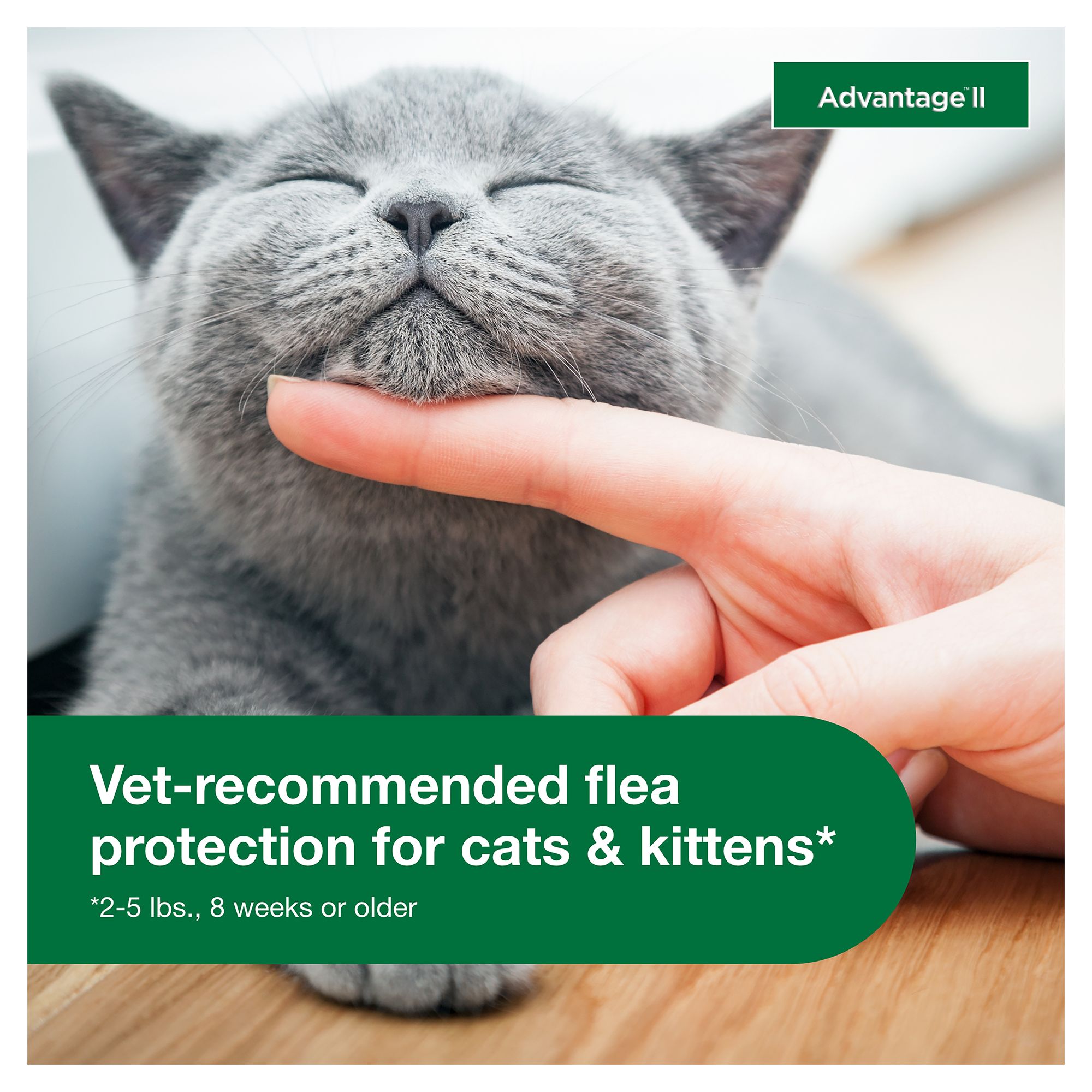 flea treatment for kittens under 2 pounds