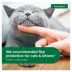 Advantage® II 2-5 lbs Kitten Flea Prevention & Treatment image thumbnail 5