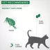 Advantage® II Flea Prevention & Treatment for Cats and Kittens 2-5 lbs, Monthly Doses image thumbnail 6
