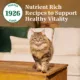 Product Nutro Wholesome Essentials ™ Adult Dry Cat Food - Non-GMO, Natural, Chicken & Brown Rice