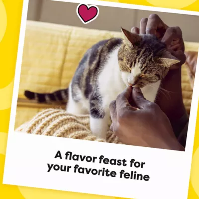 Product Temptations™ Mixups Adult Cat Treats - Soft & Crunchy, Surfers' Delight