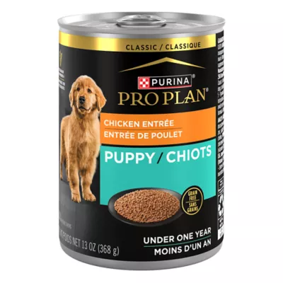 Product Purina Pro Plan Development Puppy Wet Dog Food - Grain Free, Chicken, 13 oz