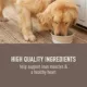 Product Simply Nourish® Original Adult Wet Dog Food - 10 Oz., Stew