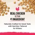 Purina® Kitten Chow® Naturals Kitten Cat Dry Food - Chicken, High-Protein, Natural image thumbnail 7