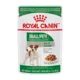 Product Royal Canin Size Health Nutrition Small Breed Adult Dog Wet Food - 3 oz