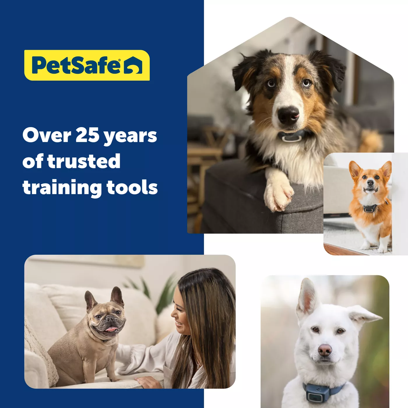 Petsmart shops dog training collars