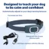 PetSafe® Lite Rechargeable Bark Collar - Timid/Little Dogs 8 lb + - 15 Levels Static Correction image thumbnail 3