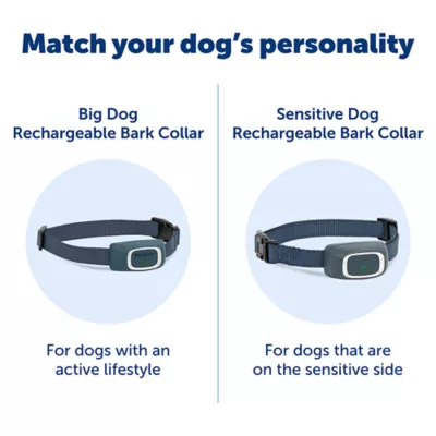 Bark collar for small dogs petsmart best sale