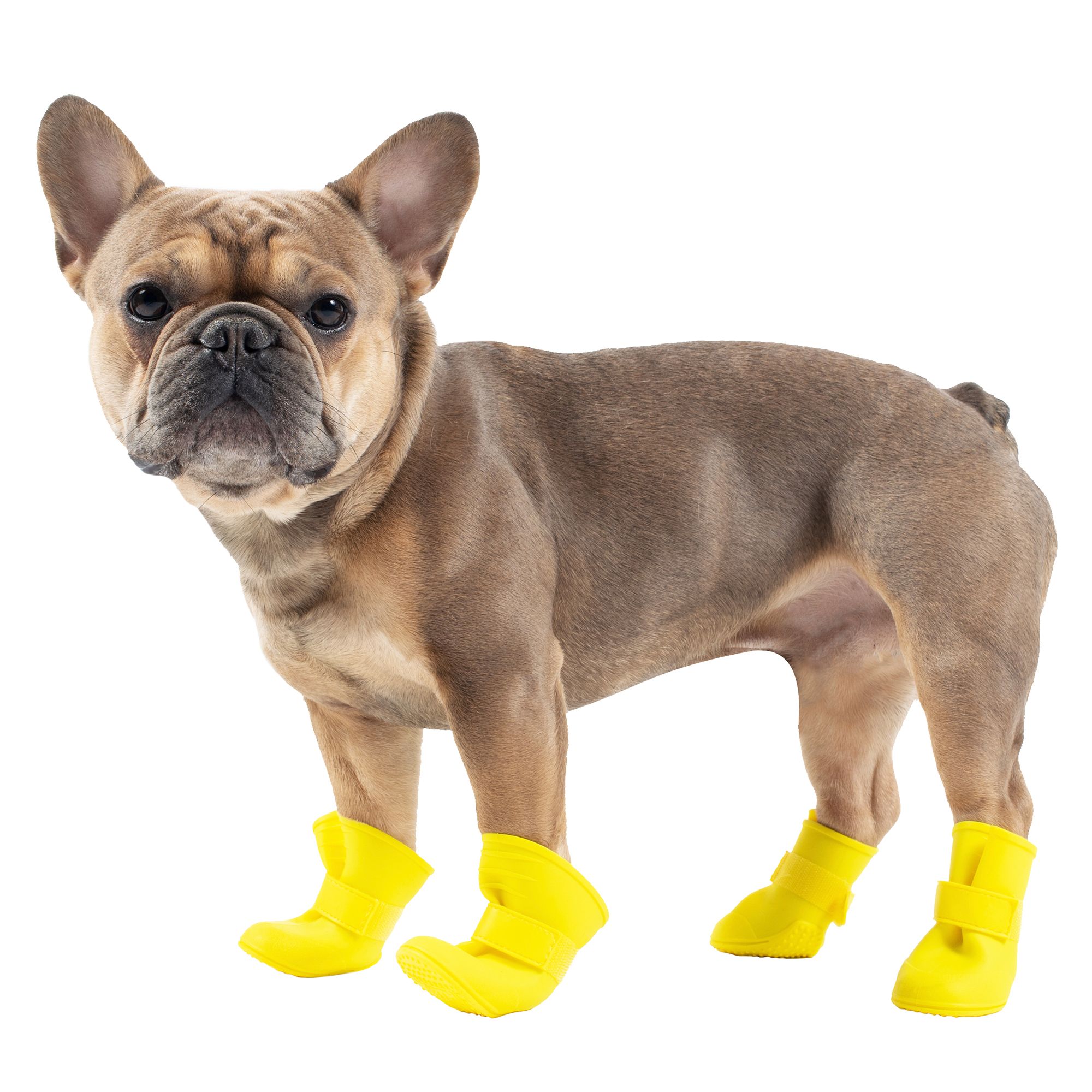 silicone dog boots