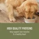 Product Simply Nourish® Original Adult Wet Dog Food - 10 Oz., Stew