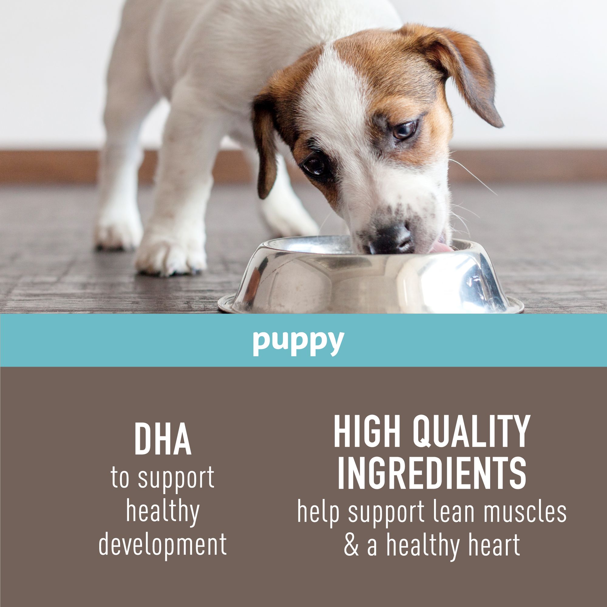 Simply nourish store canned puppy food