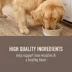 Simply Nourish® Original Adult Wet Dog Food - 3 Oz., Stew image thumbnail 3