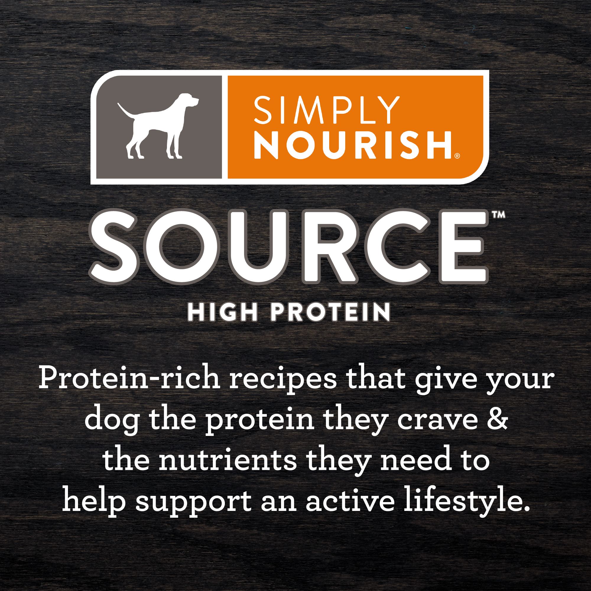 Simply Nourish Source Kibble Adult Dry Dog Food Salmon High Protein Grain Free