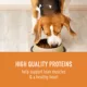 Product Simply Nourish® Source Kibble + Adult Dry Dog Food - Pork, High-Protein, Grain Free