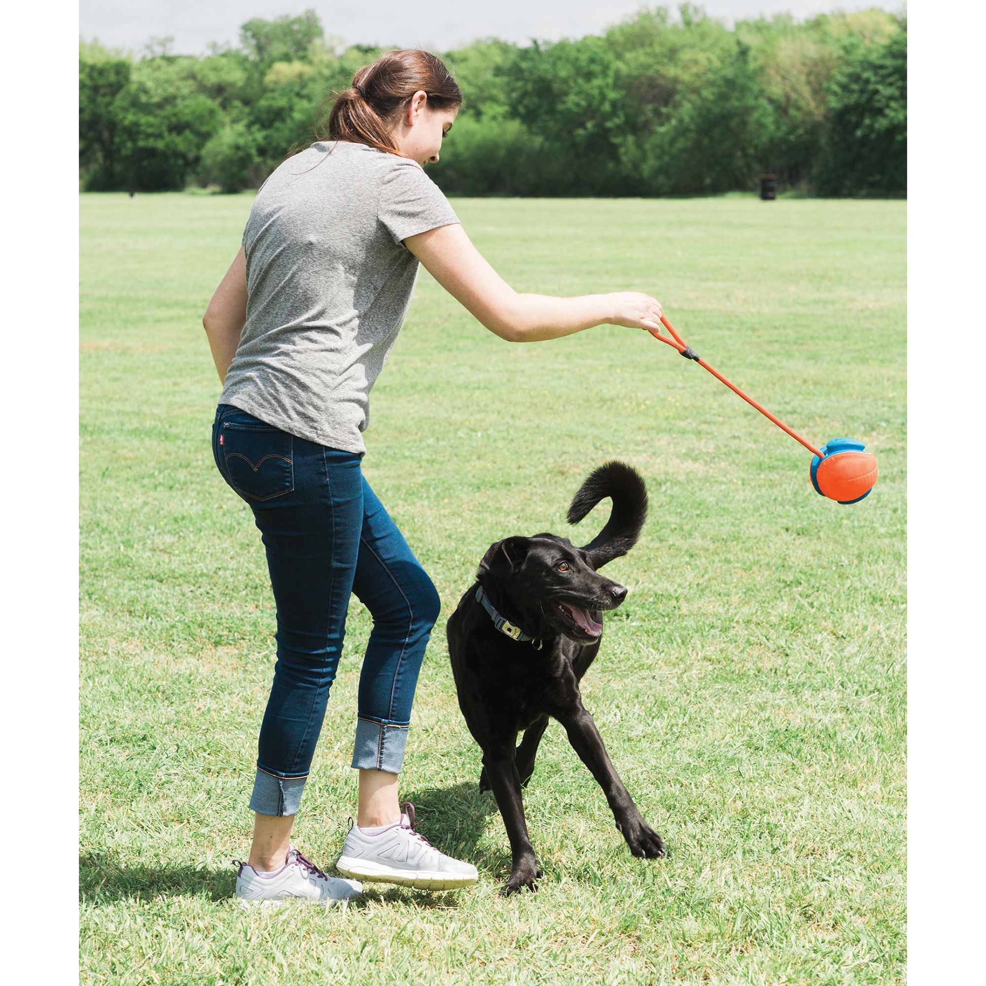 chuckit rope fetch