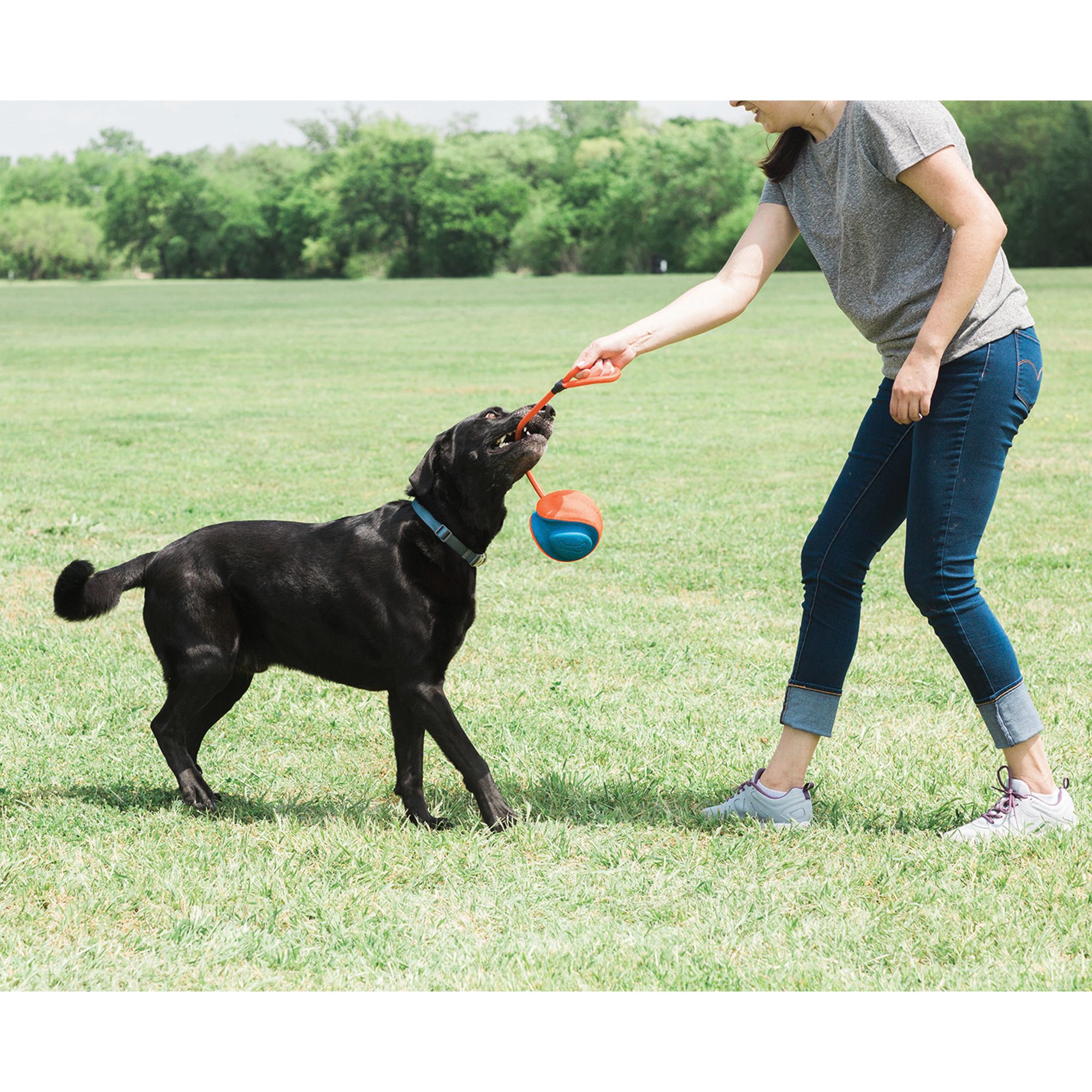 chuckit rope fetch