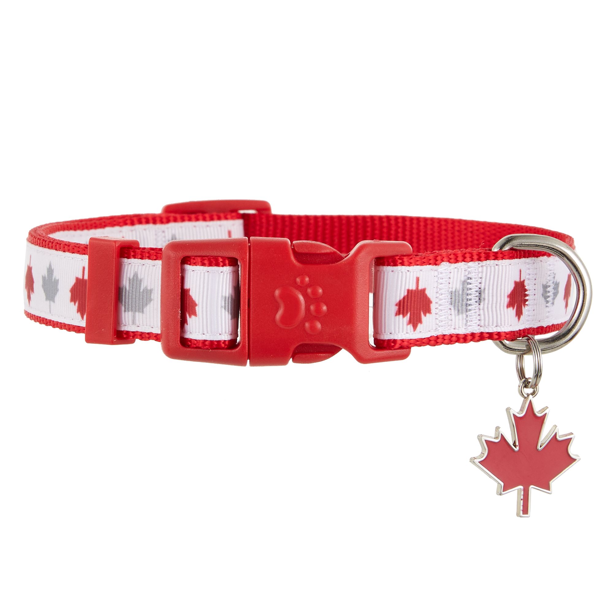 dog collars canada