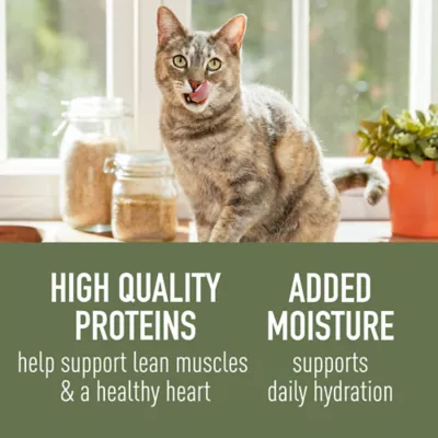 Product Simply Nourish® Original Cat Wet Food - 2.8 Oz, Natural, Stew, Grain Free