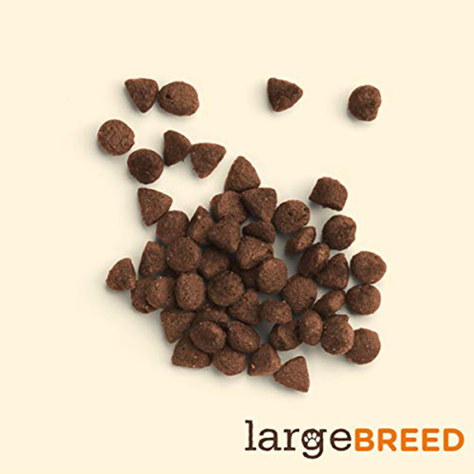 rachael ray nutrish large breed