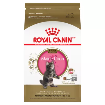 Product Royal Canin® Feline Breed Nutrition Maine Coon Breed Kitten Dry Cat Food