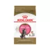 Royal Canin® Feline Breed Nutrition Maine Coon Breed Kitten Dry Cat Food image thumbnail 1