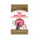 Product Royal Canin® Feline Breed Nutrition Maine Coon Breed Kitten Dry Cat Food