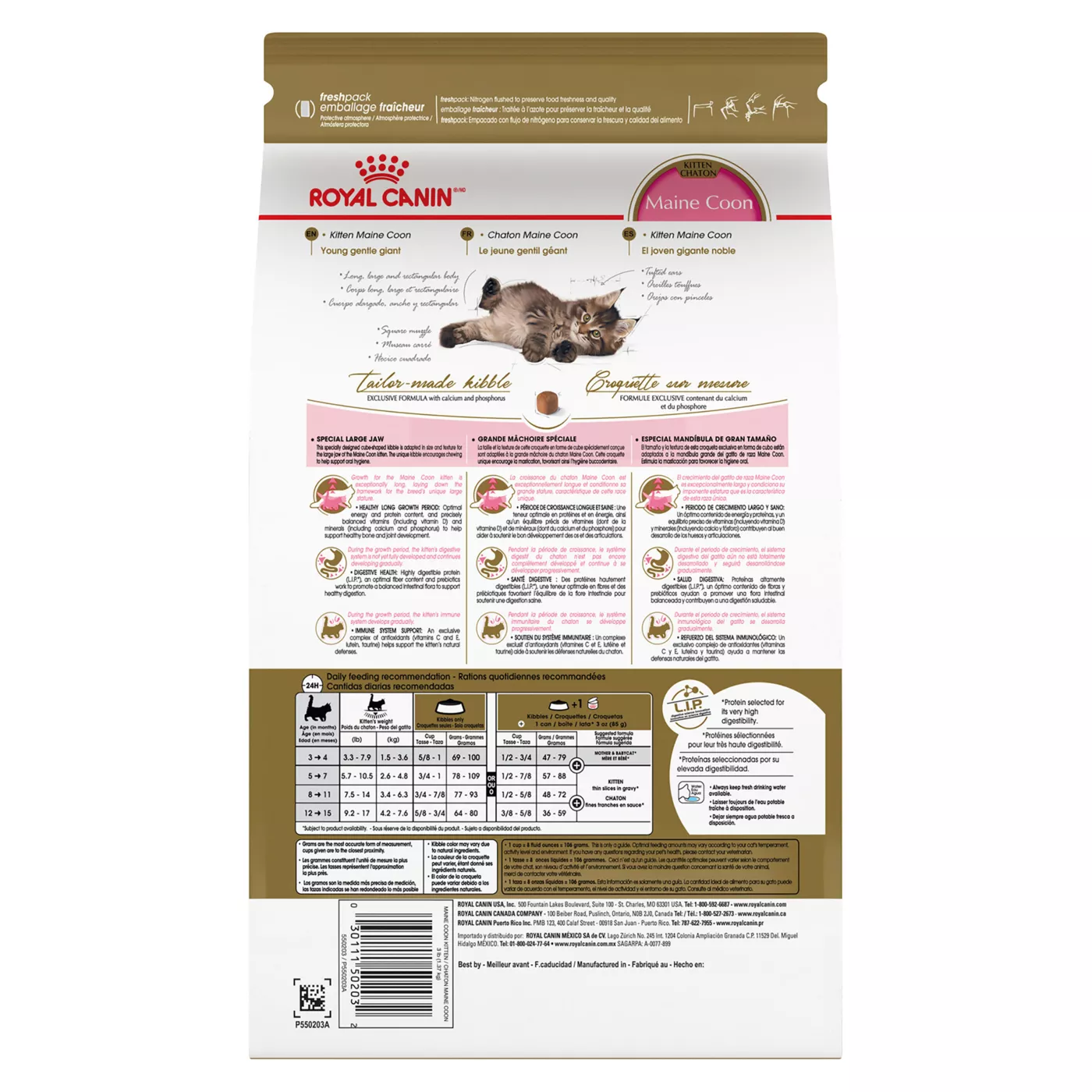 Royal Canin Feline Breed Nutrition Maine Coon Breed Kitten Dry Cat Food