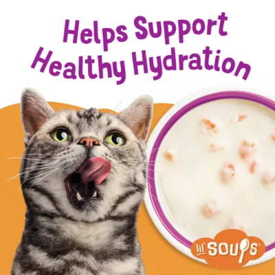 Product Purina® Friskies® Lil' Soups® Cat Food Complement - 1.2oz