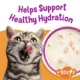 Product Purina® Friskies® Lil' Soups® Cat Food Complement - 1.2oz