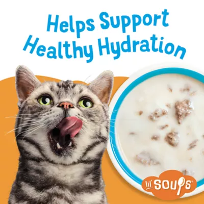 Product Purina® Friskies® Lil' Soups® Cat Food Complement - 1.2oz