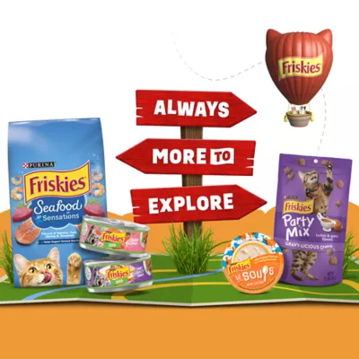 Product Purina® Friskies® Lil' Soups® Cat Food Complement - 1.2oz