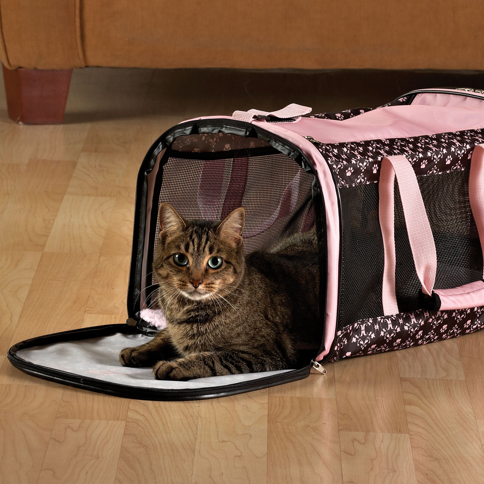 Whisker City Cat Carrier Review