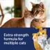 Fresh Step Clean Paws Multi-Cat Litter with Febreze image thumbnail 6