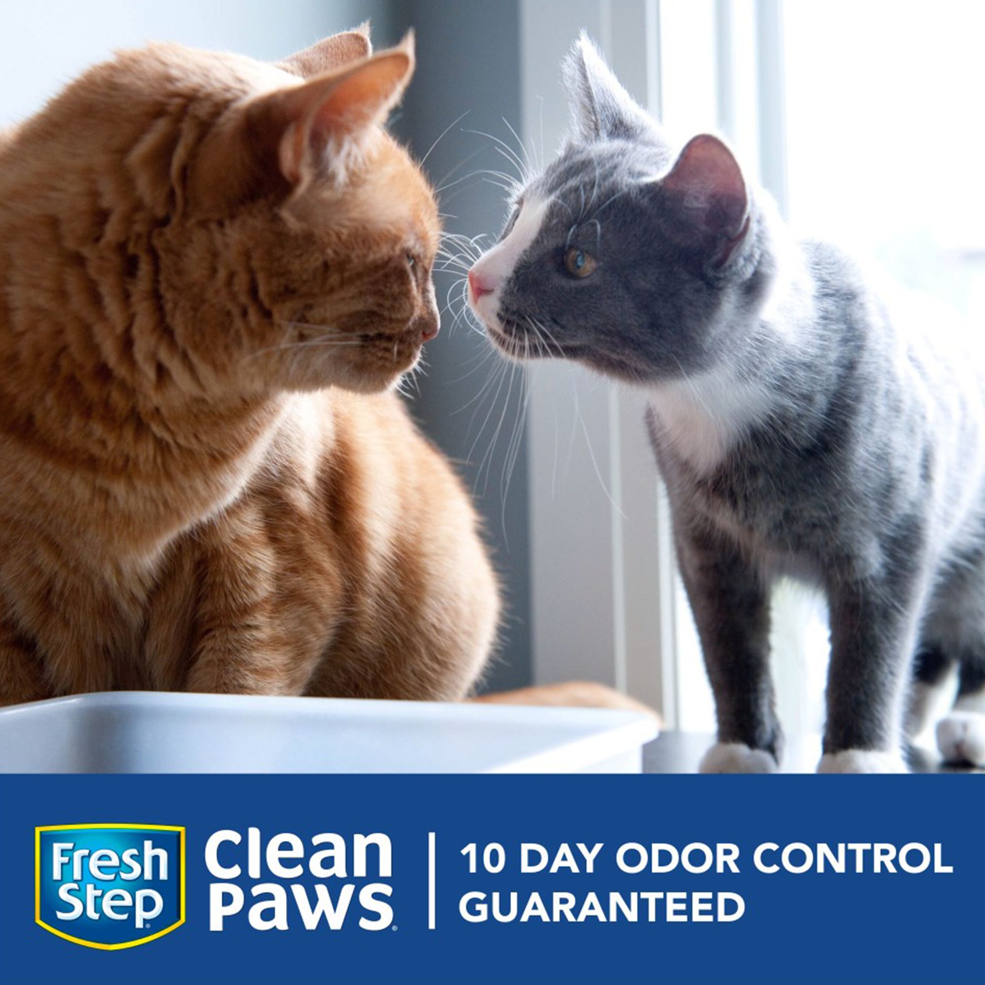 clean paws unscented litter