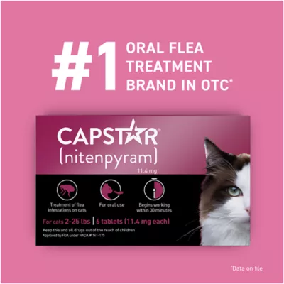 Product Capstar™ 2-25 Lb Cat Flea Treatment - 6 Count