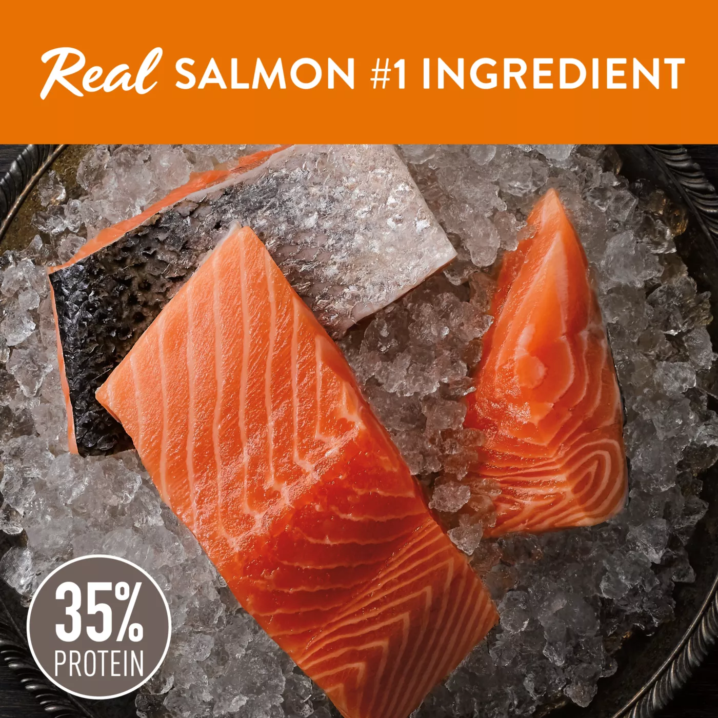 Simply Nourish® Source Indoor Cat Dry Food Salmon, Natural, High