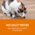 Simply Nourish® Source Cat Dry Food - Chicken & Turkey, Natural, High-Protein, Grain Free image thumbnail 3